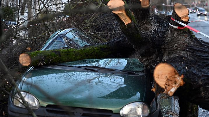 21.02.2022, Nordrhein-Westfalen, Köln: Ein Auto steht zerstört durch einen umgestürzten Baum an einer Straße. Durch das Sturmtief «Antonia» sind in Nordrhein-Westfalen Hausdächer, Autos und eine Busoberleitung zerstört worden. Foto: Federico Gambarini/dpa +++ dpa-Bildfunk +++
