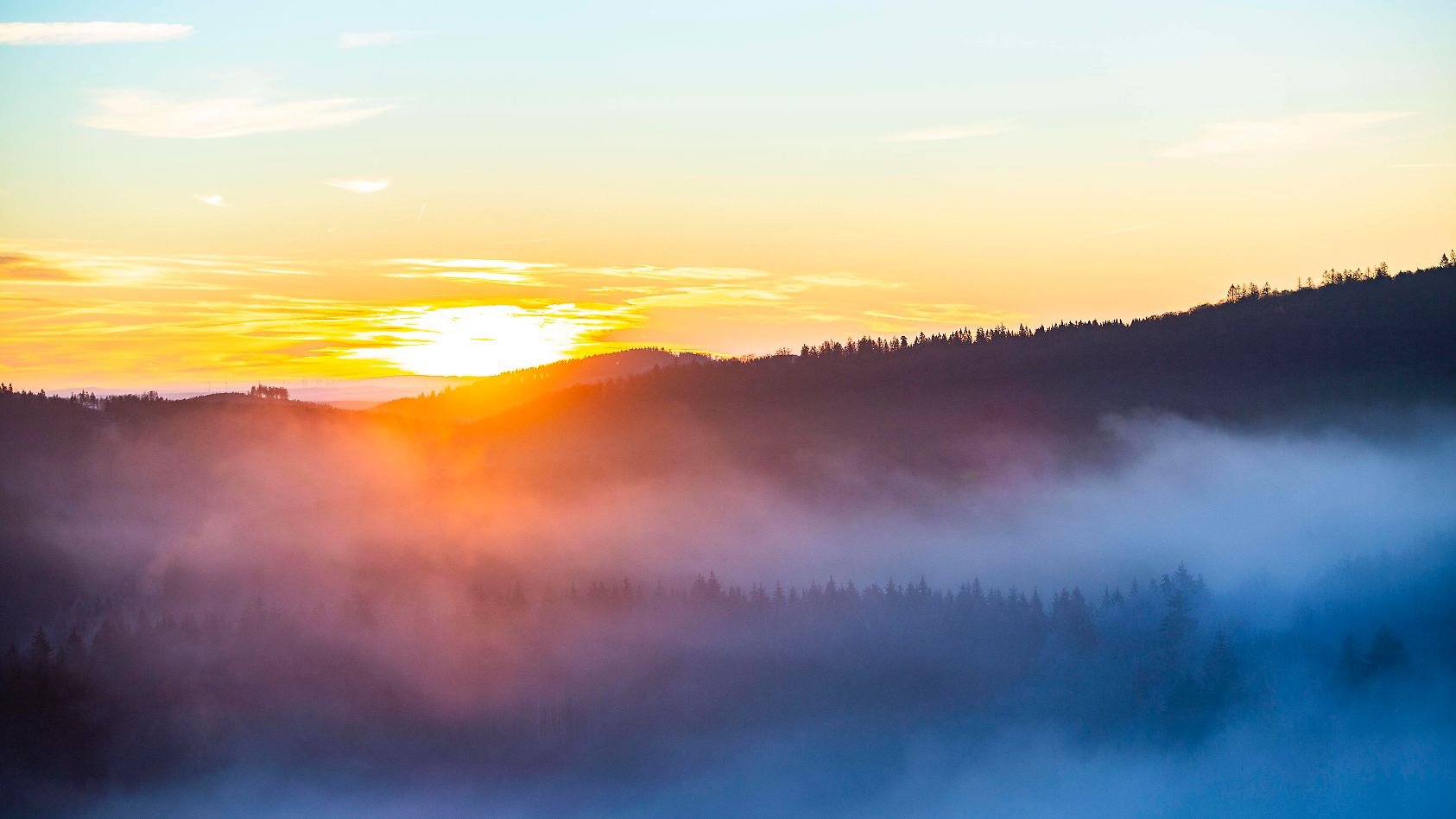 Wetter und Wetterthemen am 12. März: Eiskalte Nacht voraus: Frost ...