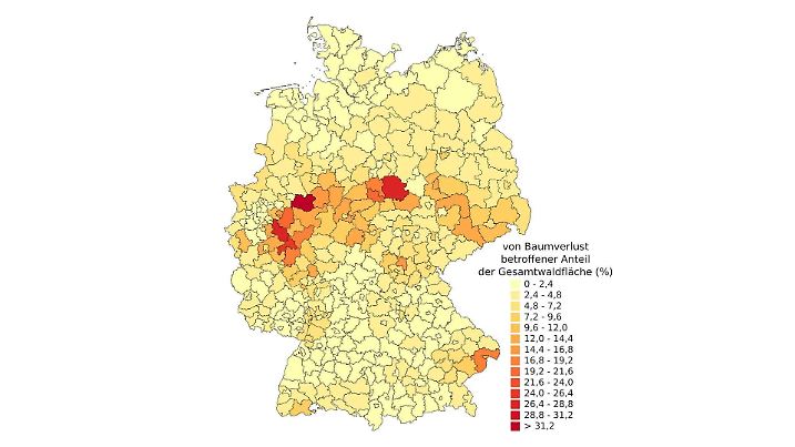 Waldsterben