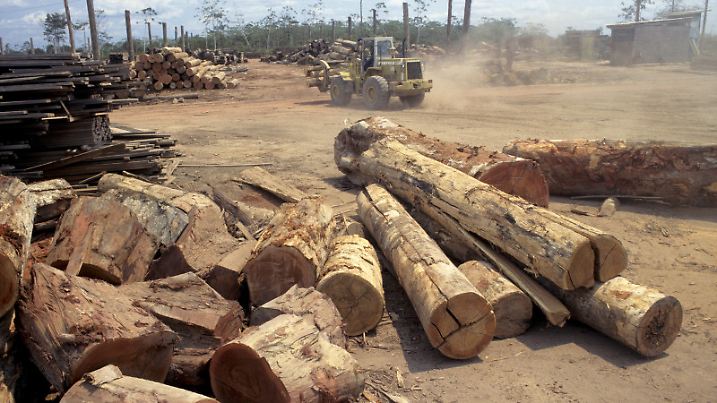 ACHTUNG: SENDESPERRFRIST 06.11.2014, 15 UHR! FILE - A pictured dated in 2008 year shows a machine moving trunks in one sawmill of the Amazonas, Brazil. Foto: WERNER RUDHART/dpa (zu dpa "Raubbau im Amazonas: Keine Atempause für die «grüne Lunge» der Erde" vom 07.11.2014) +++(c) dpa - Bildfunk+++