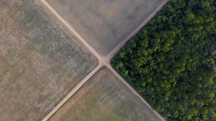 ARCHIV - 30.11.2019, Brasilien, Belterra: An einer Wegekreuzung steht ein Stück Amazonas-Regenwald neben Sojafeldern.  Rund 360 Quadratkilometer Regenwald sind im brasilianischen Amazonasgebiet allein im Januar durch Abholzung verloren gegangen. Dies ist der höchste Wert für diesen Monat seit dem Jahr 2015, wie das Nationale Institut für Weltraumforschung (Inpe) berichtete. Foto: Leo Correa/AP/dpa +++ dpa-Bildfunk +++