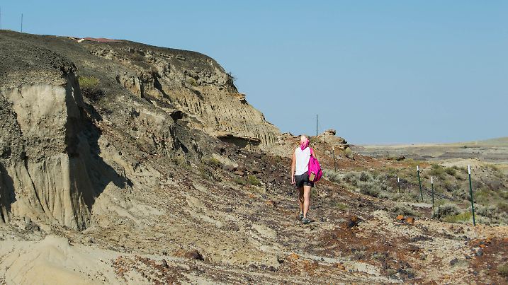 A handout photo shows Melanie During, a doctoral student in paleontology at the Uppsala University in Sweden, walking next to an embankment in southwestern North Dakota, U.S., August 2017, where fossils of fish including paddlefishes and sturgeons killed in the aftermath of the Yucatan asteroid impact 66 million years ago that caused one of Earth's worst mass extinctions of species. Courtesy of Jackson Leibach/Handout via REUTERS THIS IMAGE HAS BEEN SUPPLIED BY A THIRD PARTY. MANDATORY CREDIT. NO RESALES. NO ARCHIVES.