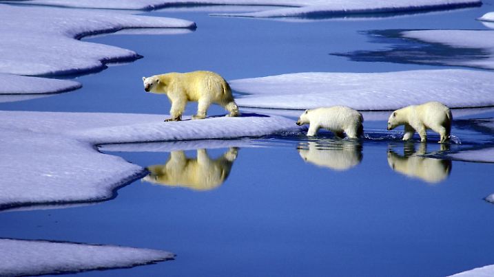 ARCHIV - Eine Eisbärenmutter marschiert mit ihren beiden Jungen auf Futtersuche über Eisschollen im Gebiet der Nordwest-Passage in Kanada (undatierte, neuere Aufnahme). Die Polkappen schmelzen, der Meeresspiegel steigt, und das Wasser tauender Gletscher reißt tosend riesige Gesteinsmassen in die Tiefe - die anhaltende Hitzewelle weckt Ängste vor den Folgen eines hausgemachten Klimawandels. Der dritte Teil des neuen Klimaberichts, den der UN-Klimarat am Freitag (04.05.2007) in Bangkok vorgelegt hat, beschäftigt sich mit den möglichen Mitteln gegen den Klimawandel. Der Menschheit bleiben nur noch acht Jahre, um eine Klimakatastrophe abzuwenden, heißt es darin. Foto: Hinrich Bäsemann +++(c) dpa - Bildfunk+++