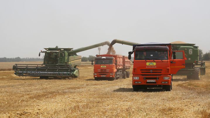 ARCHIV - 21.07.2021, Russland, Tbilisskaya: Landwirte ernten mit ihren Mähdreschern Weizen auf einem Weizenfeld in der Nähe des Dorfes Tbilisskaya in Russland. Der Krieg in der Ukraine hat die Preise für Weizen weltweit in die Höhe getrieben. Foto: Vitaly Timkiv/AP/dpa +++ dpa-Bildfunk +++