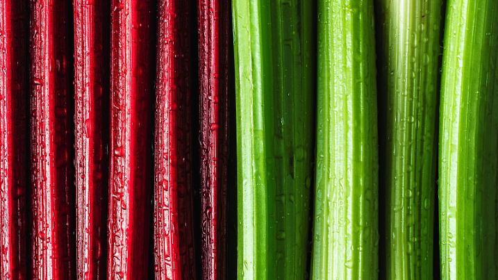 Red chard stems and celery stems parallel in a row with water dew drops as a red vegetables background