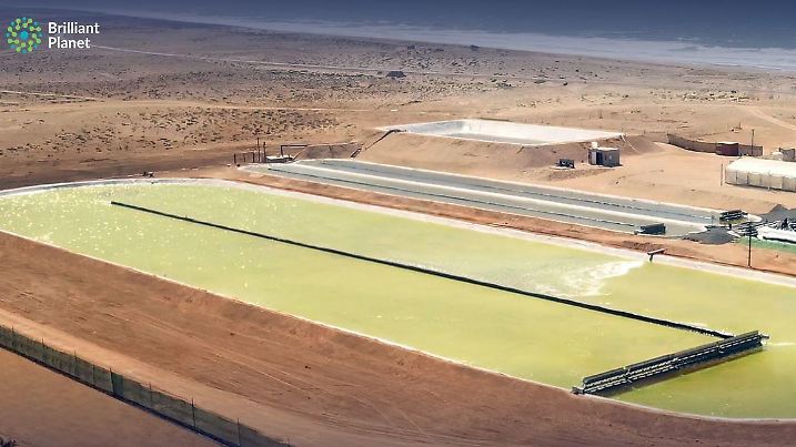 Die Algenfarm von Brilliant Planet an der Küste von Marokko