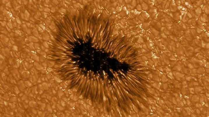 Ein Sonnenfleck beobachtet durch das Sonnenteleskop Gregor
