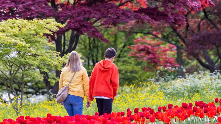  Killesberg Stuttgart. Blühende Frühlingsboten. // 05.05.2022: Deutschland, Baden-Württemberg, Stuttgart. *** Killesberg Stuttgart Blühende Frühlingsboten 05 05 2022 Germany, Baden Württemberg, Stuttgart