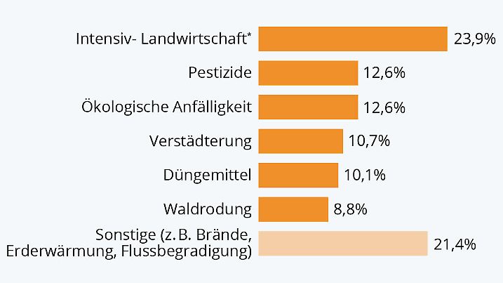 Die Grafik zeigt die Hauptursachen für das weltweite Insektensterben 2019