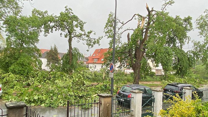 20.05.2022, Nordrhein-Westfalen, Lippstadt: Umgestürzte Bäume nach einem mutmaßlichen Tornado in Lippstadt. Ein mutmaßlicher Tornado hat am Freitagnachmittag massive Schäden verursacht. Betroffen sei das gesamte Stadtgebiet, sagte ein Feuerwehrsprecher. Foto: Ina Jütte/dpa +++ dpa-Bildfunk +++