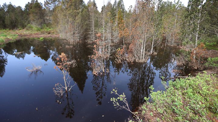Ein Moorsee im Schwindenmoos, aufgenommen bei der Auftaktveranstaltung zur Verlängerung der Allgäuer Moorallianz.