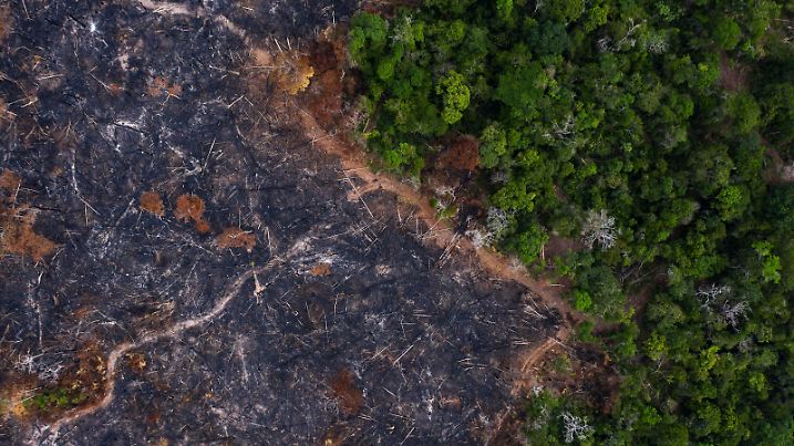 In this Nov. 23, 2019 photo, a burned area of the Amazon rainforest is seen in Prainha, Para state, Brazil. Official data show Amazon deforestation rose almost 30% in the 12 months through July, to its worst level in 11 years. Para state alone accounted for 40% of the loss. (AP Photo/Leo Correa)