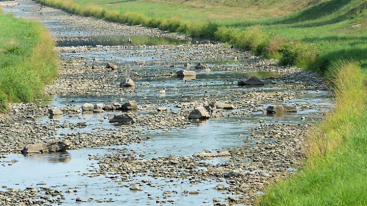Nur noch wenig Wasser fuehrt die Dreisam bei Neuershausen am 13.08.2015. Nach wochenlangen Trockenheit und Hitze sind die Pegelstaende der Baeche und Fluesse dramatisch nieder. Foto: Rothermel