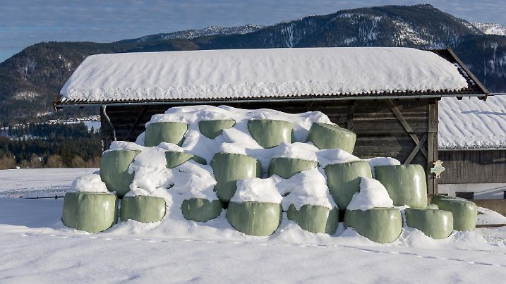 green wrapped straight bales in the snow during winter in front of an wooden cabin