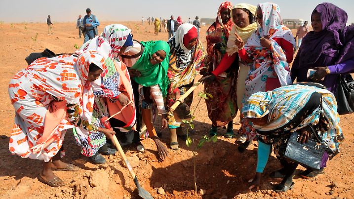 (170113) -- KHARTOUM, Jan. 13, 2017 () -- People plant trees on the outskirts of Khartoum, Sudan, Jan. 12, 2017. Sudan's Khartoum State authorities on Thursday started planting around 1,000 trees as part of the state's greenbelt project, which is part of the African Great Green Wall. The African Great Green Wall project was endorsed by the community of Sahel-Saharan states (CEN-SAD) in 2005 and then it was approved by the African Union in 2007 as a strategic African project to help the African countries curb up the risk of desert creeping which threatens the CEN-SAD countries. (/Mohamed Babiker) (lrz)