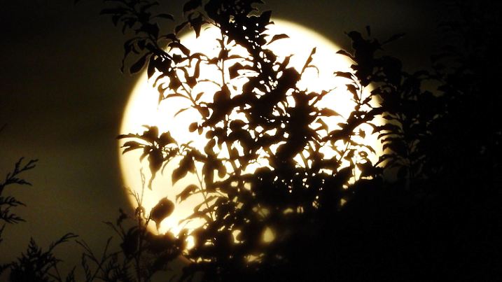 15.06.2022 xkhx Natur, Himmelskörper, Perigäum der Mond kam der Erde relativ nahe und damit gab es den ersten Supermond dieses Jahres am Himmel *** 15 06 2022 xkhx nature, celestial bodies, perigee the moon came relatively close to the earth and thus there was the first supermoon of this year in the sky