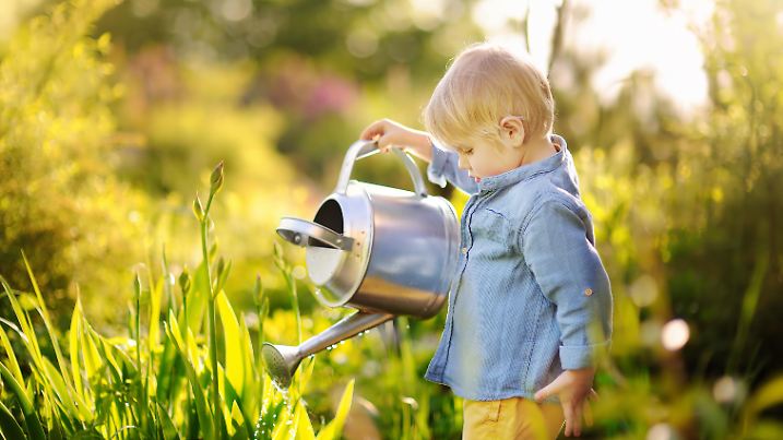 Cute toddler boy watering plants in the garden at summer sunny day