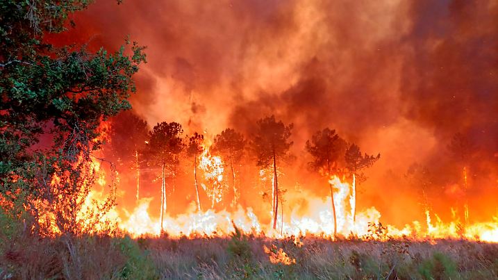 This photo provided Friday July 15, 2022 by the fire brigade of the Gironde region (SDIS 33) shows a wildfire near Landiras, southwestern France, Thursday, July 14, 2022. Several hundred firefighters struggled Friday to contain two wildfires in the Bordeaux region of southwest France that have forced the evacuation of 10,000 people and ravaged more than 7,000 hectares of land. High temperatures and strong winds have complicated firefighting efforts in the region, one of several around Europe scorched by wildfires this season. (SDIS 33 via AP)
