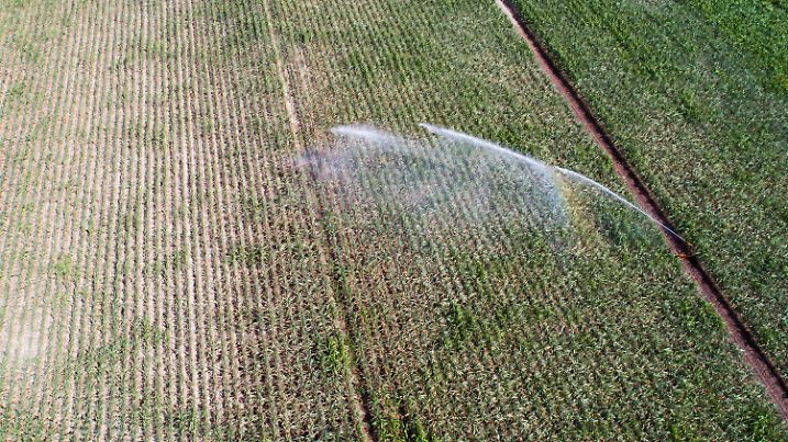 18.07.2022, Niedersachsen, Peine: Ein Maisfeld im Landkreis Peine wird bewässert. Angesichts von Trockenheit und Hitzewellen sorgen sich deutsche Landwirte um die Ernte dieses Jahr. (zu dpa ·Bauernpräsident fürchtet Ernteeinbußen wegen trockenen Hitzewetters·) Foto: Julian Stratenschulte/dpa +++ dpa-Bildfunk +++