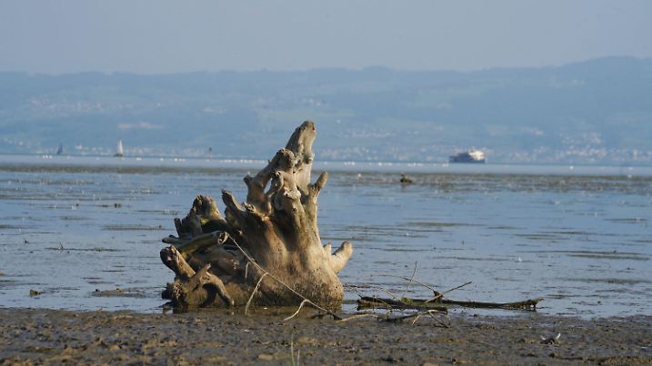22.07.2022, Baden-Württemberg, Friedrichshafen: Wegen des niedrigen Wasserstandes im Bodensee kommt es zu ersten Problemen im Schiffsverkehr. Sogar der Niedrigwasser-Rekord für die Jahreszeit könnte bald fallen. (zu dpa «Niedrigwasser am Bodensee bereitet Schiffen erste Probleme») Foto: Andreas Rosar/dpa +++ dpa-Bildfunk +++