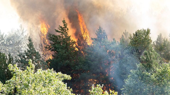 21.07.2022, Ungarn, Kiskunhalas: Rauch und Flammen steigen auf aus einem Waldgebiet in der Nähe von Kiskunhalas. Das durch Trockenheit und sengende Hitze ausgelöste Feuer hat eine Fläche von 200 Hektar des Mischwaldes aus Laub- und Nadelbäumen verbrannt. Foto: Ferenc Donka/MTI/AP/dpa +++ dpa-Bildfunk +++