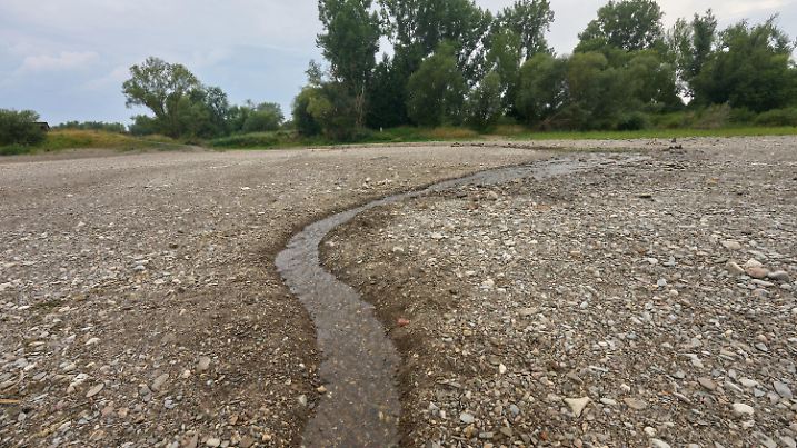 20.07.2022, Rheinland-Pfalz, Sinzig: Die Ahr ist etwas mehr als ein Jahr nach der verheerenden Flutkatastrophe zur Zeit an ihrer Mündung in den Rhein nur ein Rinnsal. Durch die anhaltenden Trockenheit des Hochsommers fällt der Wasserspiegel immer weiter. Foto: Thomas Frey/dpa +++ dpa-Bildfunk +++