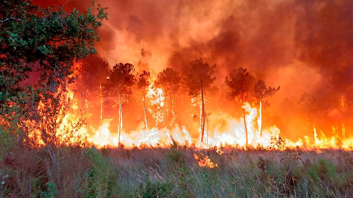 dpatopbilder - 15.07.2022, Frankreich, Landiras: Dieses zur Verfügung gestellte Foto zeigt einen Flächenbrand. Mehrere hundert Feuerwehrleute bemühten sich zwei Waldbrände in der Region Bordeaux im Südwesten Frankreichs einzudämmen, die 10 000 Menschen zur Evakuierung gezwungen und mehr als 7 000 Hektar Land verwüstet haben. Hohe Temperaturen und starke Winde haben die Löscharbeiten in der Region erschwert, die in dieser Saison von mehreren Waldbränden in Europa heimgesucht wird. Foto: Uncredited/Service Communication-Protocole SDIS 33/AP/dpa +++ dpa-Bildfunk +++