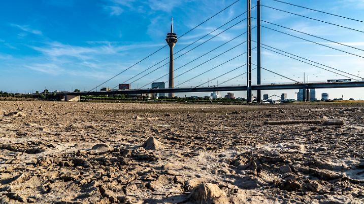 Rhein bei Düsseldorf, extremes Niedrigwasser, Rheinpegel bei 81 cm, Tendenz fallend, nach lange Dürre fällt das linke Rheinufer, bei Düsseldorf Oberkassel trocken, Rheinkniebrücke, Rheinturm, NRW, Deutschland, Rhein Niedrigwasser *** Rhine near Düsseldorf, extreme low water, Rhine level at 81 cm, tendency falling, after long drought the left bank of the Rhine falls dry, near Düsseldorf Oberkassel, Rheinkniebrücke, Rheinturm, NRW, Germany, Rhine Low Water
