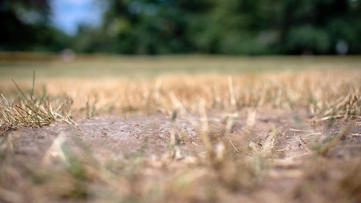  18. Juli 2020: Dresden Sachsen, Grosser Garten: Die Wiesen im Park sind zu grossen Teilen vertrocknet und verbrannt. *** 18 July 2020 Dresden Saxony , Großer Garten The meadows in the park are largely dried up and burnt