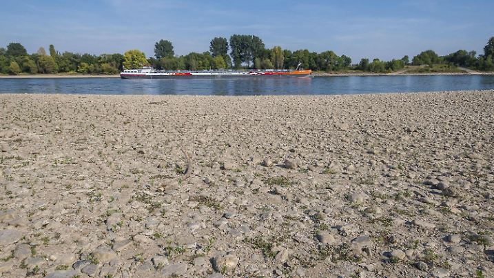 Niedrigwasser am Rhein, im Bild Koeln-Suerth (Foto vom 11.08.2022). Bundesverkehrsminister Volker Wissing (FDP) sieht in der zunehmenden Haeufung von Niedrigwasser-Situationen am Rhein eine Gefahr fuer den Wirtschaftsstandort Deutschland und will die Vertiefung der Fahrrinne am Mittelrhein forcieren. Nach einem Spitzengespraech mit Wirtschaftsvertretern in Mainz kuendigte er am 29.08.2022 die Bildung einer "Beschleunigungskommission" an. (Siehe epd-Meldung vom 29.08.2022) *** Local Caption *** 00471922