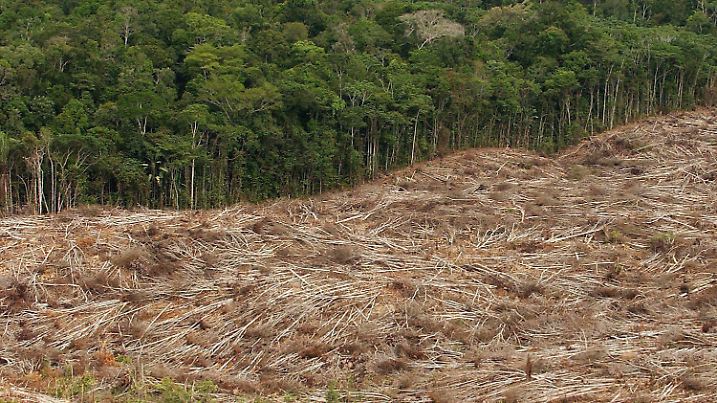ARCHIV - Das undatierte Archivfoto zeigt die Abholzung des Regenwalds im Amazonasgebiet in Brasilien. Die globale Waldfläche ist nach Angaben desMünchner ifo Instituts zwischen 1990 und 2005 um drei Prozent geschrumpft. Das entspreche einem durchschnittlichen jährlichen Verlust von 0,2 Prozent oder 20 000 Hektar am Tag. Eine wesentlicheUrsache ist den Angaben zufolge der wachsende Flächenbedarf für die Produktion von Biokraftstoffen aus Palmöl, Soja und Zuckerrohr sowie für die Rinderzucht, teilte das Institut am Dienstag mit. Besondersviel Wald sei in den tropischen Ländern abgeholzt worden - speziell in Brasilien, Indonesien und dem Sudan. Allein Brasilien und der Sudan seien zusammen für knapp die Hälfte des jährlichen Waldverlustsweltweit verantwortlich. Foto: Marcelo Sayao  +++(c) dpa - Bildfunk+++