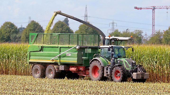  Landwirtschaft - Maisfeld wird gehäckselt - entweder für Viehfutter als Silage oder für eine Biogasanlage - gesehen am 04.09.2020 in der Feldmark Sehnde bei Hannover *** Agriculture Maize field is chaffed either for cattle feed as silage or for a biogas plant seen on 04 09 2020 in Feldmark Sehnde near Hannover