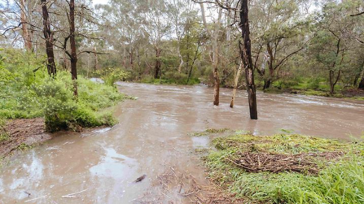 October 14, 2022, Melbourne, Victoria, Australia: MELBOURNE, AUSTRALIA - OCTOBER 14: Darebin Parklands heavily flooded on October 14, 2022 in Victoria, Australia. La Nina weather pattern contributing to record levels of rainfall across Victoria. (Credit Image: Â© Chris Putnam/ZUMA Press Wire