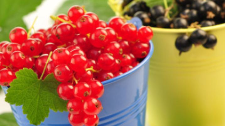 Fotolia 43273234 XS.jpg