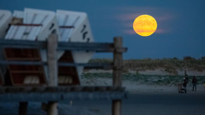 Vollmond in St. Peter Ording 09.10.2022, DEU, Deutschland, St. Peter Ording: Der Vollmond geht am Strand von St. Peter Ording hinter Strandkörben auf. Die Strandkörbe stehen für den Abtransport ins Winterlager bereit. Hamburg Hamburg Deutschland *** Full moon in St Peter Ording 09 10 2022, DEU, Germany, St Peter Ording The full moon rises on the beach of St Peter Ording behind beach chairs The beach chairs are ready to be taken away to winter storage Hamburg Hamburg Germany
