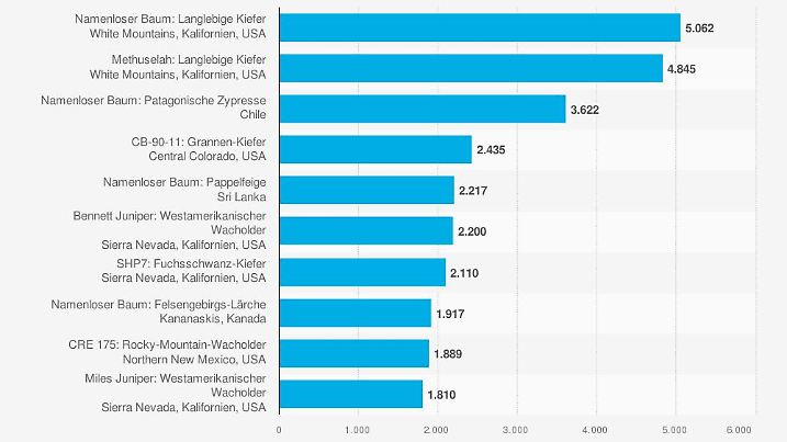 statistic id658654 aelteste-noch-lebende-baeume-weltweit