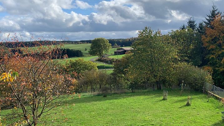 Grüne Wiesen im Herbst in der Eifel.