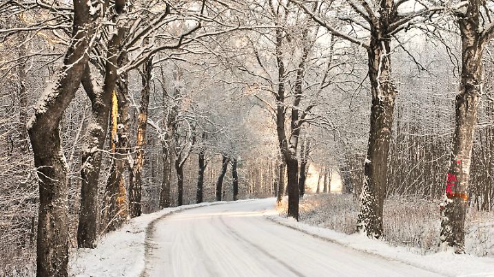  Winter snowy road through the forest , 16007632.jpg, road, way, path, route, tract, pathway, track, hightway, drive, winter, snow, season, forest, tree, avenue,