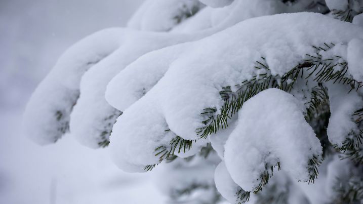 ID 706
Und plötzlich ist Winter! Ein markanter Wettersturz gab es die letzten 48 Stunden in den Alpen. Vom schönen Herbstwetter mit warmen Temperaturen wurde es innerhalb von zwei Tagen winterlich. Betroffen sind die Alpen in einem breiten Streifen von Tirol bis zum Arlberg oberhalb von 1100 Metern. Seit der zweiten Nachthälfte schneit es in St. Christof am Arlberg ununterbrochen. Ca. 25-30 cm Neuschnee ist gefallen. Der Winterdienst im Einsatz (on tape). Bauarbeiter müssen ihre Arbeiten unterbrechen, der Schnee behindert den Fortschritt der Arbeiten am heutigen Freitag. Eine Mitarbeiterin aus Westösterreich wurde ebenfalls eiskalt überrascht: Ich komme aus Westösterreich da war es gestern noch warm und heute plötzlich Schnee. Ich habe noch Herbstkleidung an mir. Für Einheimische ist es der zweite Schnee im Oktober und wird nur ein Intermezzo sein. Schon morgen wird der Schnee wieder weg sein, wir hoffen aber auf reichlich Schnee für die Wintersaison, das ist unser Hauptgeschäft, erzählt eine Einheimische. 