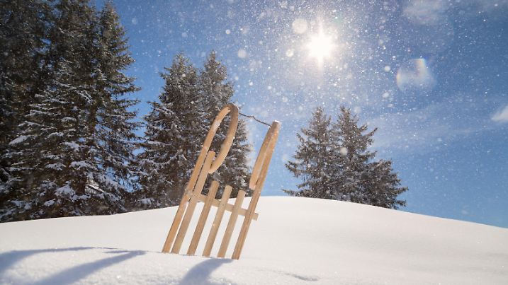 traditional sled in the snow