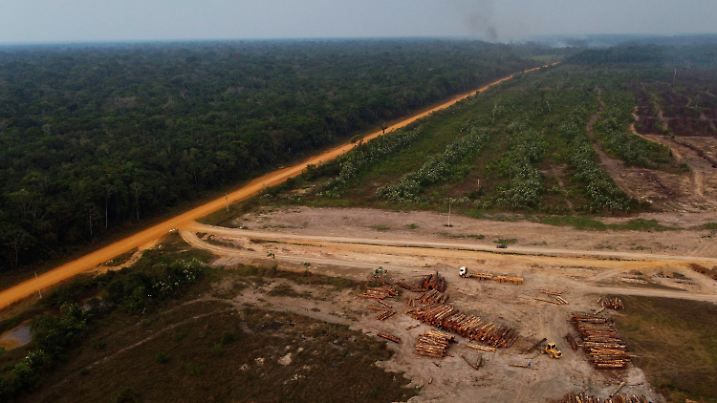 FILE - An area of forest on fire near a logging area in the Transamazonica highway region, in the municipality of Humaita, Amazonas state, Brazil, Sept. 17, 2022. Marina Silva, a former senator and environmental minister, has a message for the U.N. climate summit: Brazil is back when it comes to protecting the Amazon, the largest rainforest in the world that is crucial to staving off the worst effects of climate change.  (AP Photo/Edmar Barros, File)