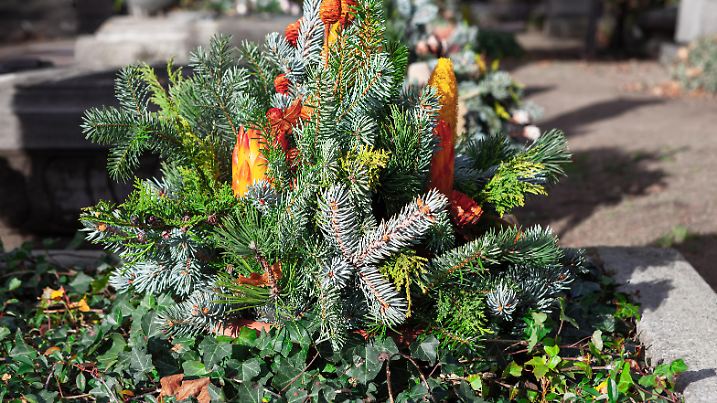 Coniferous bouquet at headstone . Fir twigs at grave