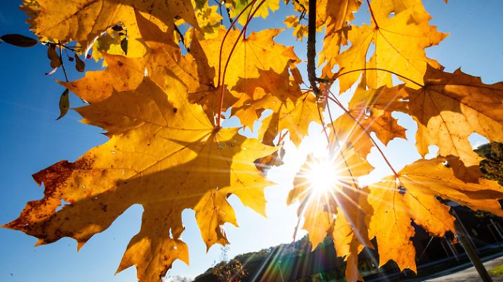 ARCHIV - 23.10.2021, Baden-Württemberg, Stuttgart: Bei schönem Wetter strahlt die Sonne durch herbstlich gefärbte Blätter. (zu dpa: «Oktober in Baden-Württemberg so warm wie nie seit Aufzeichnungsbeginn») Foto: Christoph Schmidt/dpa +++ dpa-Bildfunk +++