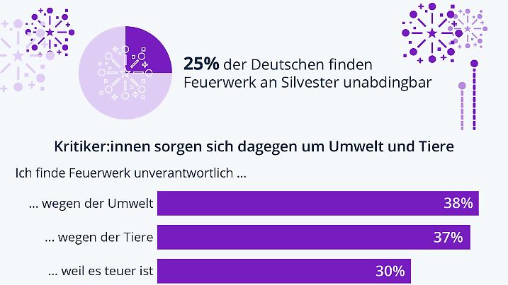 Die Grafik bildet Ergebnisse einer Umfrage zum Thema Feuerwerk an Silvester ab.