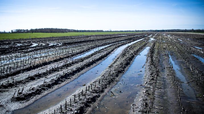 ARCHIV - 11.04.2022, Niedersachsen, Elsfleth: Eine landwirtschaftlich genutzte Hochmoorfläche. Der Schutz der Moore in Niedersachsen ist aus Klimaschutzgründen sehr wichtig. Aus Sicht der neuen Landwirtschaftsministerin hat Niedersachsen bei diesem Thema zuletzt viel Zeit verloren. (zu dpa: «Ministerin sieht noch langen Weg beim Moorschutz») Foto: Sina Schuldt/dpa +++ dpa-Bildfunk +++