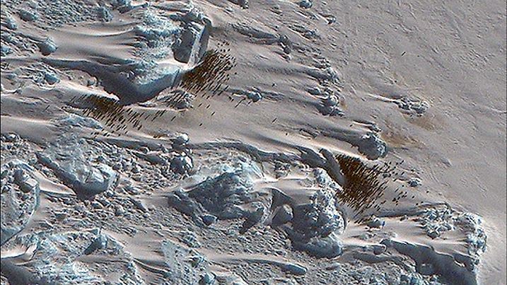 HANDOUT - 20.01.2023, Großbritannien, London: Undatiertes Handout-Foto des British Antarctic Survey (BAS) von einer neuen Kaiserpinguinkolonie, die mit Hilfe von Satellitenkartierungstechnologie in der Antarktis entdeckt wurde. (zu dpa «Forscher entdecken neue Kaiserpinguin-Kolonie an ihren Kotspuren») Foto: Maxar Technologies 2023/Bas/PA Media/dpa - ACHTUNG: Nur zur redaktionellen Verwendung und nur mit vollständiger Nennung des vorstehenden Credits +++ dpa-Bildfunk +++