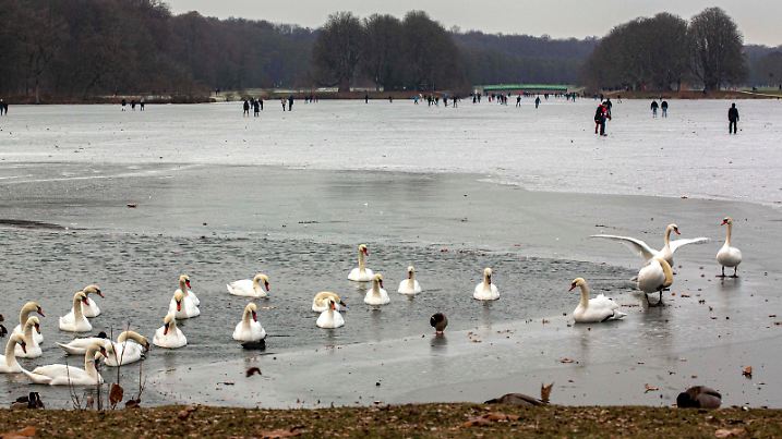  Schlittschuhfahrer und Spaziergänger sind auf dem zugefrorenen Decksteiner Weiher im Stadtwald in Köln unterwegs. Die Statd warnt wegen steigender Temperaturen vor dem Betreten der Eisfläche. Winterimpressionen in Köln *** Skaters and walkers are on the frozen Decksteiner Weiher in the Stadtwald in Cologne The Statd warns against entering the ice surface because of rising temperatures Winter impressions in Cologne