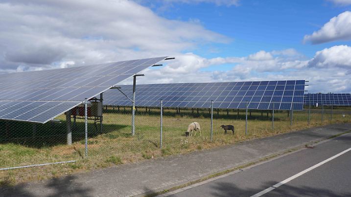 Kassel, Deutschland 27.07.2022: Solarpark Fuldatal-Rothwesten. Im Vordergrund sind Schafe zu sehen. Mit einer Nennleistung von 22 MWp ist es der größte Solarpark in Hessen.