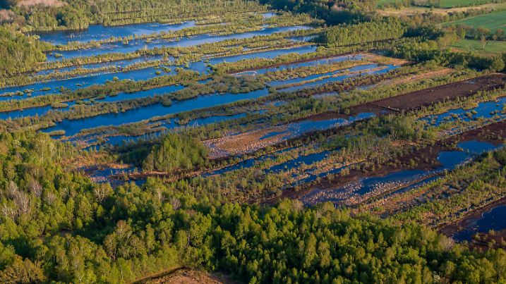 Hochmoor mit Wiedervernaessung des alten Torfstichs im Tensfelder Moor zwischen Blunk und Tensfeld, 06.05.2022, Luftbild, Deutschland, Schleswig-Holstein | Rewetted Tensfelder High Moor between Blunk and Tensfeld, aerial view 05/06/2022, Germany, Schleswig-Holstein