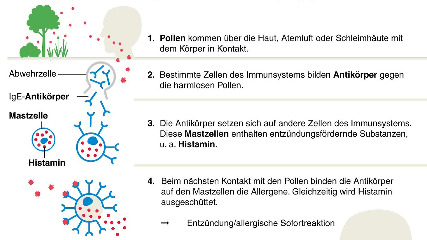 Was Tun Bei Pollenallergie